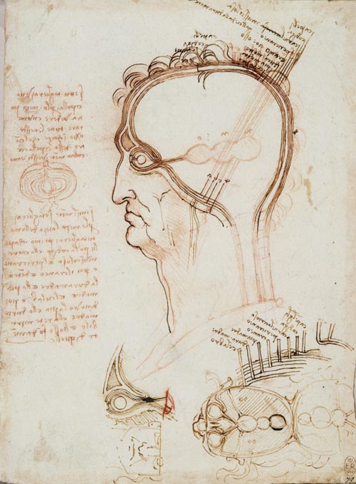 Leonardo da Vinci. Vertical and horizontal sections of the human head and eye, c.1489. 20.3 x 14.3cm. Pen and ink and red chalk. Royal Collection © 2006 Her Majesty Queen Elizabeth II.