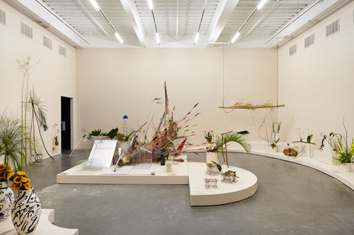 Camille Henrot: The Restless Earth. Installation view (1), New Museum, 2014. Courtesy New Museum, New York. Photograph: Benoit Pailley.