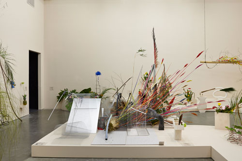 Camille Henrot: The Restless Earth. Installation view (9), New Museum, 2014. Courtesy New Museum, New York. Photograph: Benoit Pailley.