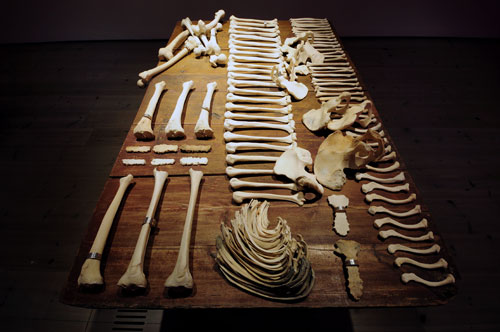Human bones, engraved silver, wood table. Installation: Jenny Holzer, BALTIC Centre for Contemporary Art, Gateshead Quays, United Kingdom, 2010. Text: Lustmord, 1993–95.