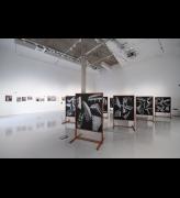 Jerwood / Photoworks Awards 5, installation view, Drawing Room and Tannery Arts, London. Photo: Studio Deew. Courtesy of Photoworks.