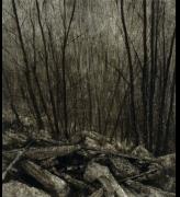 Nicholas Blowers. <em>Boulders descending through trees,</em> 2007. Oil on paper, 104 x 92 cm