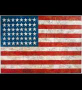 Jasper Johns, Flag, 1954-55. Encaustic, oil, and collage on fabric mounted on wood (3 panels), 41.25 x 60.75 in (104.8 x 154.3 cm). The Museum of Modern Art, New York, NY; Gift of Philip Johnson in honor of Alfred H. Barr, Jr. © 2021 Jasper Johns/VAGA at Artists Rights Society (ARS), New York.