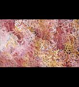 Emily Kame Kngwarreye. <em>Big Yam</em>, 1996. Synthetic polymer paint on canvas, four panels, each 159.0 x 270.0 cm, overall 245.0 x 401.0 cm. National Gallery of Victoria, Melbourne purchased by the National Gallery Women's Association to mark the directorship of Dr Timothy Potts, 1998