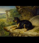 James Ward, Fanny, A Favourite Dog, 1822. By courtesy of the Trustees of Sir John Soane’s Museum, London.