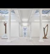 Left and centre: Gisueppe Penone, Five works from Indistinti confine, 2012-13. Marble, bronze, dimensions variable. Right: Giuseppe Penone, Dafne, 2015. Bronze, 287 x 116 x 100 cm. Courtesy of Marian Goodman Gallery.