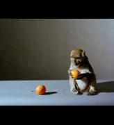 Olivier Richon. <em>Portrait of a monkey with fruit</em>, 2008. C-type print, 91 x 115 cm.