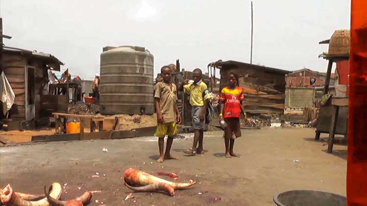 Karimah Ashadu, King of Boys (Abattoir of Makoko), 2015. HD digital film, colour with sound, 5 mins. Courtesy the artist, Fondazione In Between Art Film, Sadie Coles HQ, London and Camden Art Centre.
