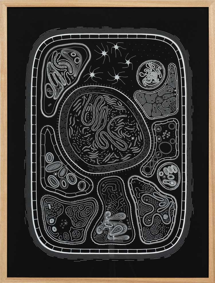 Golan Levin. Zoofolium, 08, 2024. Pen-plot in Sakura white gel ink on acid free 460gsm Fedrigoni Sirio Ultra Black cardstock and ERC-721 token, 61 x 45.7 cm (24 x 18 in). Courtesy Gazelli Art House and certified by Verisart. Copyright of the artist.