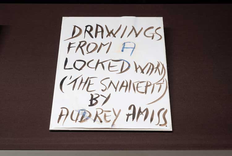 Audrey Amiss: The Surviving Exhibitions, installation view, Wellcome Collection, 10
July 2026 – 7 February 2027.