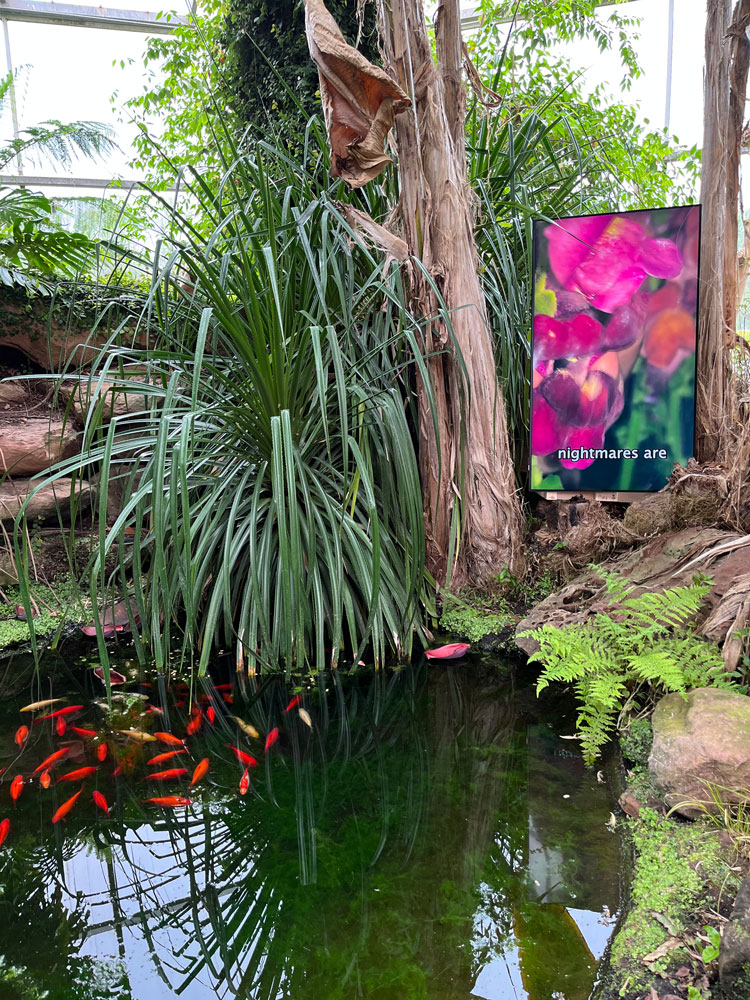 Abbas Akhavan. Still from the film Slug (2020), in the Glass Pavilion, Mount Stuart. Photo: Veronica Simpson.