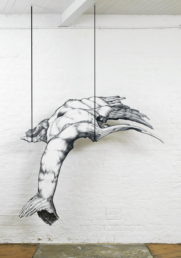 Kate Atkin. Hanging Bacon, 2012. Pencil, gesso, Structura, birch plywood, rope, 158 x 188 x 1.8 cm. © the artist.