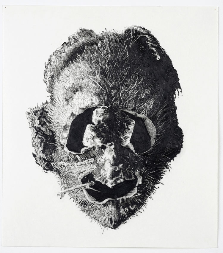 Kate Atkin. Study: Seed Head, 2016. Pencil on paper, 43.8 x 39.2 cm. © the artist.