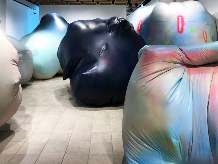 Claire Ashley. Strewn, Hither and Thither, 2019. Installation view, HUB Robeson Galleries, Penn State University, PA.