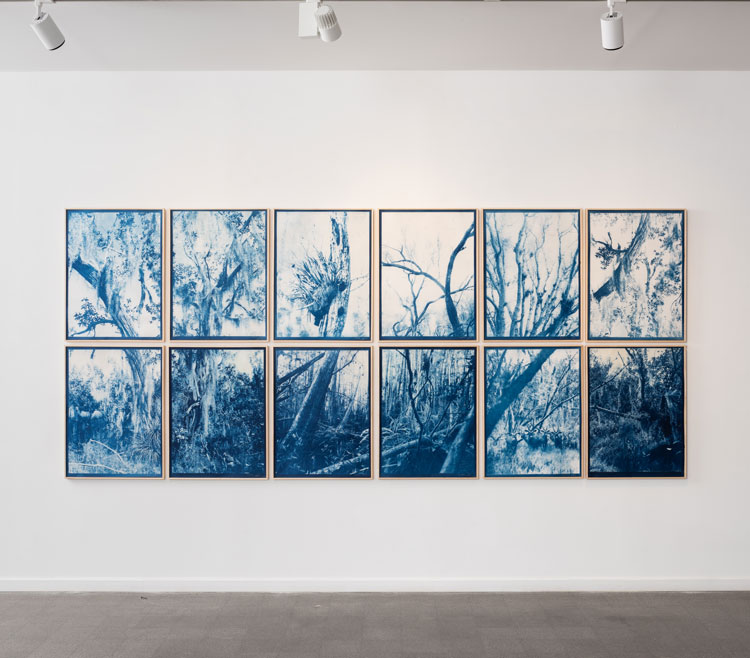 Kristina Chan and Itamar Freed. Dream in Blue. Installation view, Photo: Youval Hai.