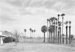 An-My Lê. Marine Palms, 2003-2004. Silver gelatin print, 26 1/2 x 38 in (67.3 x 96.5 cm). © An-My Lê. Courtesy the artist and Marian Goodman Gallery New York, Paris and London.