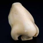 R for RESOURCEFULNESS. Ivory artificial nose, Europe, 1701-1800 © Science Museum/Wellcome Library