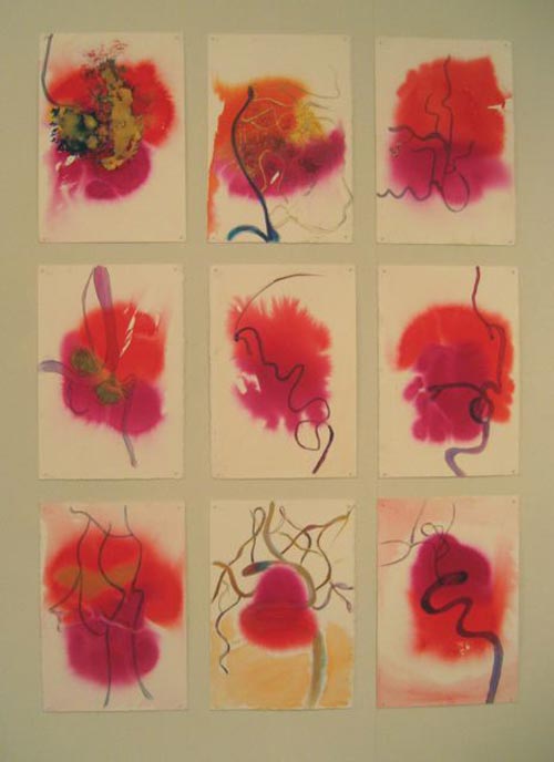 Susan Aldworth. <em>Between Function and Structur</em>e, 2001. Acrylic inks and graphite on paper, 37.5 x 28 cm each (installation shot from ‘Scribing the Soul’ at Transition Gallery)