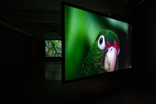 Allora & Calzadilla. The Great Silence, 2014. 3-channel HD video installation, 16:22 minutes. Courtesy of the artists. In collaboration with The Fabric Workshop and Museum, Philadelphia. Photograph: Carlos Avendaño.