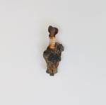 Allora & Calzadilla. Untitled (Technofossil Venus), 2014. Fossilized spark plug, 3 1⁄2 x 1 1⁄2 x 1 1⁄8 in (9 x 4 x 3 cm). Courtesy of the artists.