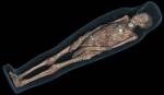 CT scan 3D visualisation of the mummified remains of Tayesmutengebtiu, also called Tamut, showing her body within the cartonnage. © Trustees of the British Museum.