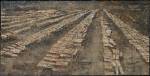 Anselm Kiefer. <em>Heliopolis</em> 2009. Acrylic, oil, shellac and sand on canvas, 110 1/4 x 224 7/16 inches (280 x 570 cm). 