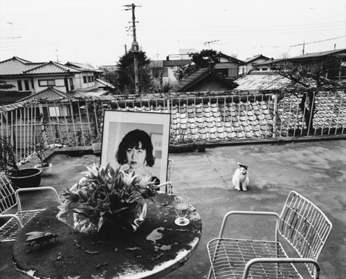 Nobuyoshi Araki. From In Ruins, early 1997 © Courtesy the artist