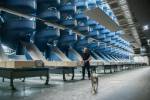 Martin Honzik, head of the Ars Electronica Festival with the packet chutes at PostCity. Photograph: Vanessa Graf.