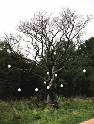 Axel Antas, <em>Tree Structure (Unbearable lightness)</em>, 2006 