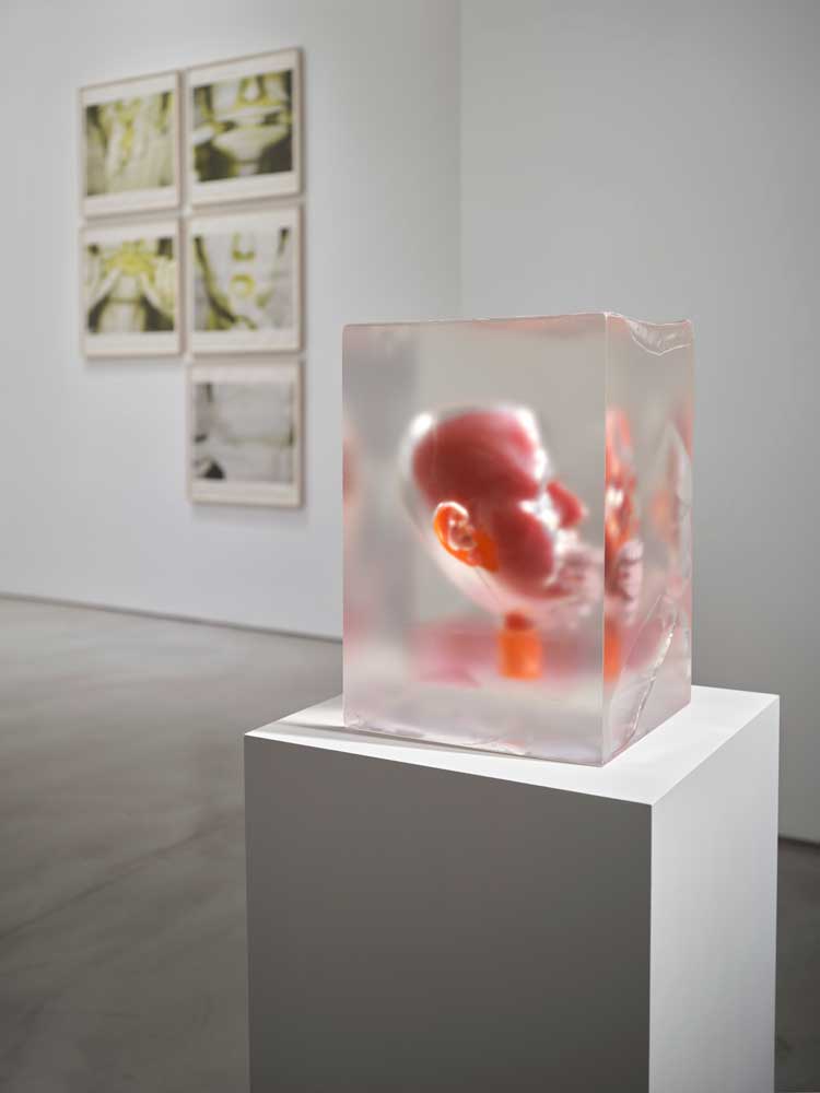 Foreground: Rona Pondick, Encased Orange with Pink Teeth, 2019-23. Background: Bruce Nauman, Studies for Holograms (a-e), 1970. Installation view, Bellmer Nauman Pondick: Material Desire, Nunu Fine Art, New York, 6 March – 30 May 2026. Photo: Martin Seck, courtesy Nunu Fine Art, New York / Taipei.
