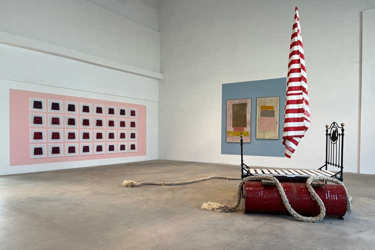 Installation view, Yto Barrada: Deadhead, Fondazione Merz, Turin, 2025.