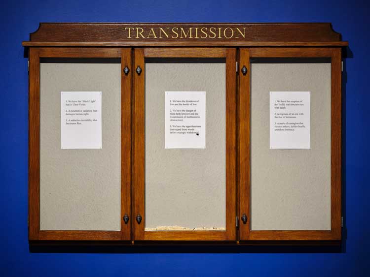 Exhibition view, Hamad Butt: Apprehensions, IMMA, 2024. Courtesy of the Irish Museum of Modern Art (IMMA). Photo: Ros Kavanagh.