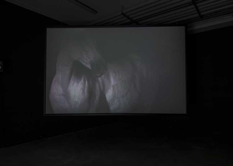Valentina Furian. Centauro, 2023. HD video, colour, stereo sound. Courtesy the Artist and Fundación PROA. Photo: Tiberio Sorvillo.