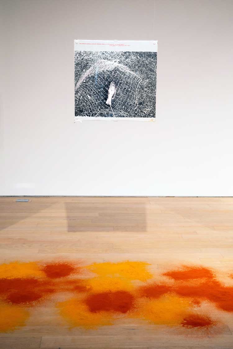 Zarina Bhimji. She Loved to Breathe – Pure Silence, 1987. Courtesy the Fruitmarket, Edinburgh. Collection of the Victoria and Albert Museum. © Zarina Bhimji. All Rights Reserved, DACS/Artimage 2023. Photo: Ruth Clark.