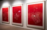 Georg Baselitz: A Life in Print, installation view, Kode. Photo: Thor Brødreskift. © Georg Baselitz.