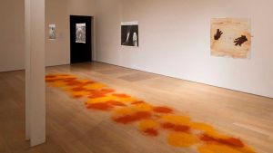 Her quietly reflective films and photographs, with their evocative use of colour and light, are things of beauty, but their true depth and meaning are only revealed on slow looking