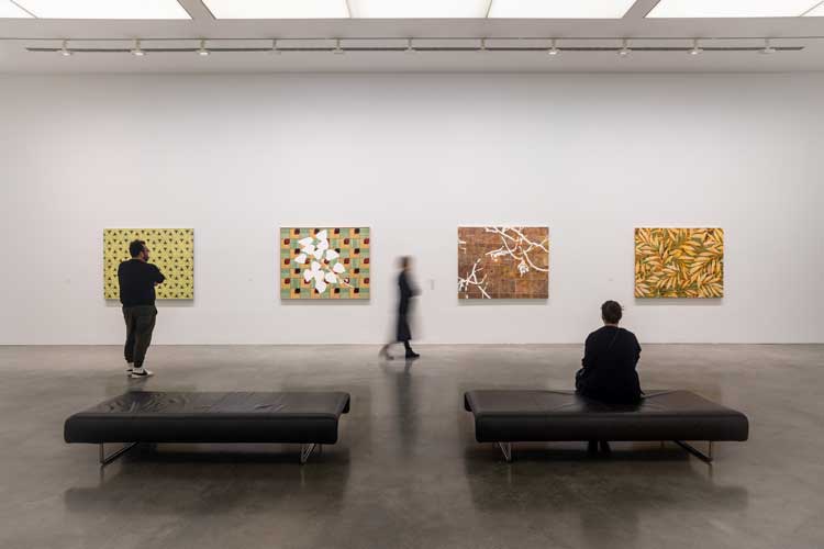 Vivienne Binns, installation view, On and through the Surface, Museum of Contemporary Art Australia, Sydney, image courtesy the artist, National Gallery of Australia, and Museum of Contemporary Art Australia © the artist. Photo: Jacquie Manning.