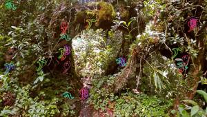 Taking our relationship with plants as its starting point, Camden Art Centre’s ambitious exhibition, now visitable as a digital platform, explores centuries of interconnection between physical, psychic and spiritual worlds