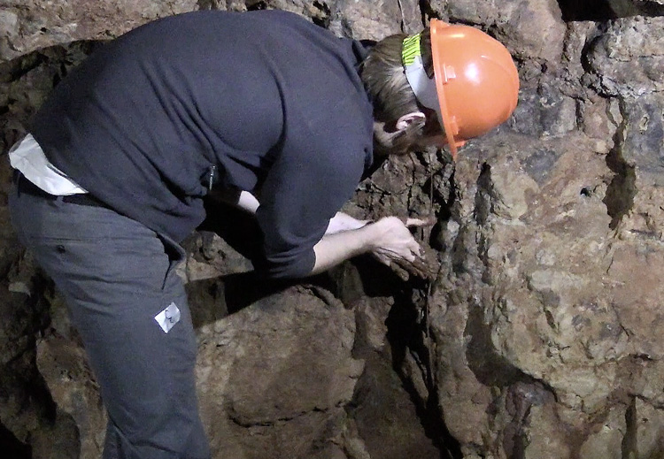 Installing Entirely Hollow Aside from the Dark, Creswell Crags Cave, Worksop, 2019. Photo: Martin Kennedy.