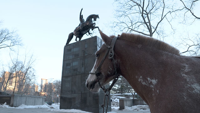 Ross Birrell. Criollo, Argentine Criollo, Ahi Veremos Resero, General José de San Martín Memorial, Central Park, New York, 20 March 2017. Image Credit: Ross Birrell. Courtesy the artist and Ellen de Bruijne Projects.