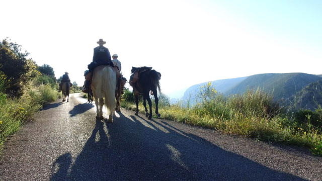 Ross Birrell. Athens-Kassel Ride: The Transit of Hermes, documenta 14, 2017. Image credit: Samuel Devereux. Courtesy the artist and Ellen de Bruijne Projects.