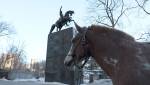 Ross Birrell. Criollo, Argentine Criollo, Ahi Veremos Resero, General José de San Martín Memorial, Central Park, New York, 20 March 2017. Image Credit: Ross Birrell. Courtesy the artist and Ellen de Bruijne Projects.