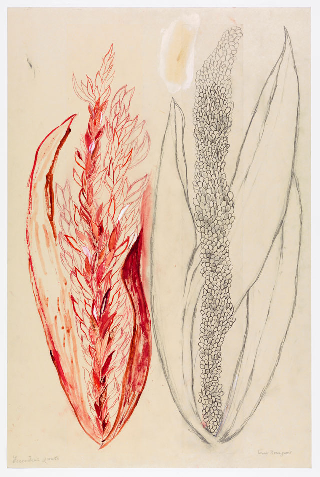 Louise Bourgeois: An Unfolding Portrait