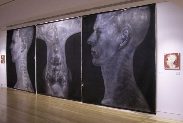 Godwin Bradbeer. Empirical Triptych, 1983. Chinagraph, silver oxide, charcoal and pastel on paper. Also included are Cosmetic Profile 1 and 2, 1984. Enamel paintings on linen. Installation at Shepparton Gallery. Photograph: David Senior.