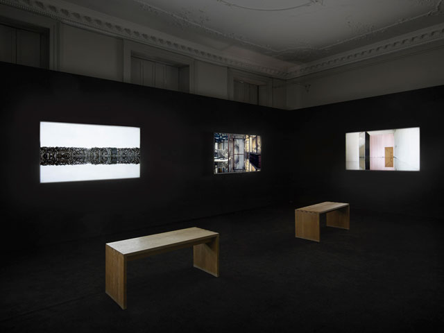 Ailbhe Ní Bhriain: Reports to an Academy, installation view. Courtesy Ailbhe Ní Bhriain and Domobaal. Photograph: Andy Keate.