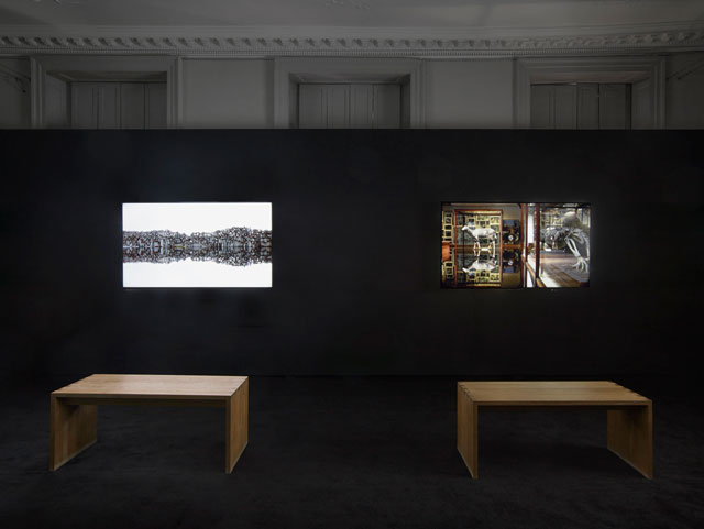 Ailbhe Ní Bhriain: Reports to an Academy, installation view. Courtesy Ailbhe Ní Bhriain and Domobaal. Photograph: Andy Keate.