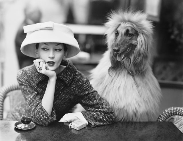 Dovima with Sacha, cloche and suit by Balenciaga, Café des Deux Magots, Paris, 1955. Photograph by Richard Avedon © The Richard Avedon Foundation.