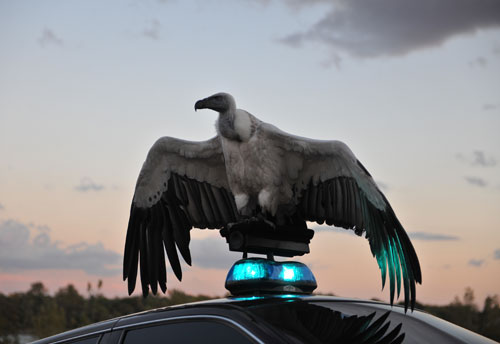 Matthew Barney and Jonathan Bepler. River of Fundament, 2014. Production still. Photograph: Hugo Glendinning. © Matthew Barney. Courtesy Gladstone Gallery, New York and Brussels.