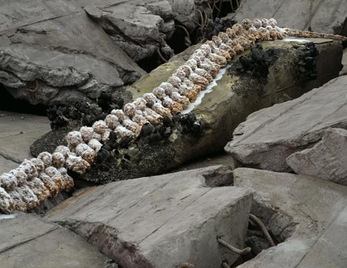 Matthew Barney. <em>Holographic Entrypoint,</em> 2005 (detail). High-density polyethylene, polycaprolactone thermoplastic, shrimp shells, shells, cement, wood, steel, stainless steel, expanded polystyrene, vivac, pigment, acrylic paint, acrylic medium, sand, aquaplast, PVC. Overall dimensions: 280 x 720 x 1156 cm. Installation view: 21st Century Museum of Contemporary Art, Kanazawa, Japan. Photograph: Keizo Kioku. Courtesy of the Gladstone Gallery, New York © 2005 Matthew Barney