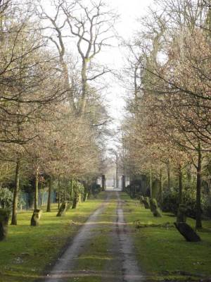 Museum Schloss Moyland, Bedburg-Hau, Germany. Photo: Giles Sutherland, 2006.